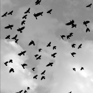 Meet your Posher, Tamia